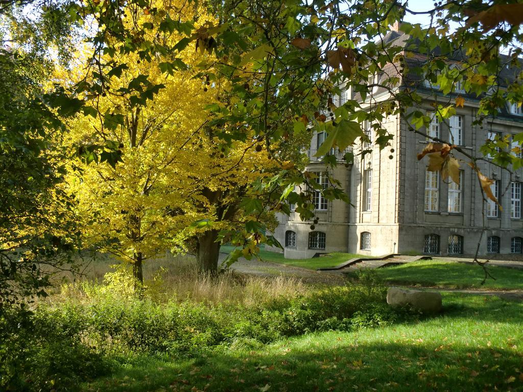 Jagdschloss-Bellin Bellin  Kültér fotó